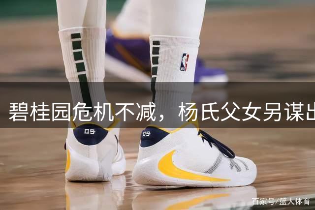 碧桂园危机不减，杨氏父女另谋出路